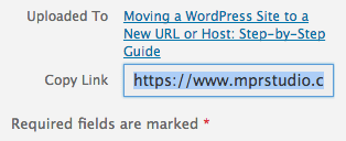 Copy link to image URL in WordPress media library