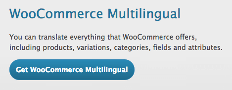 WooCommerce Multilingual plugin by WPML