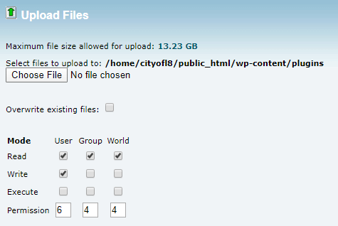 Upload Files in cPanel