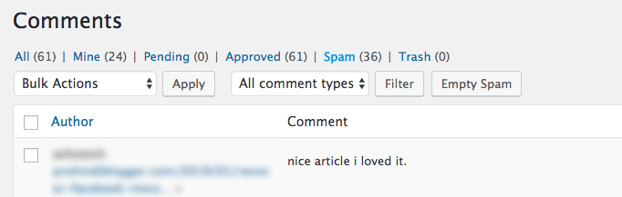 Deleting comment spam in WordPress